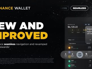 What is Binance Wallet?